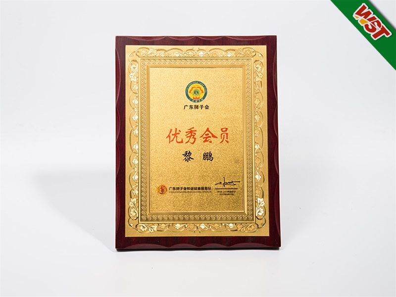 優(yōu)秀會員證書